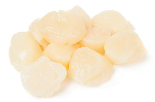 istock Pile of peeled raw scallops 158674706