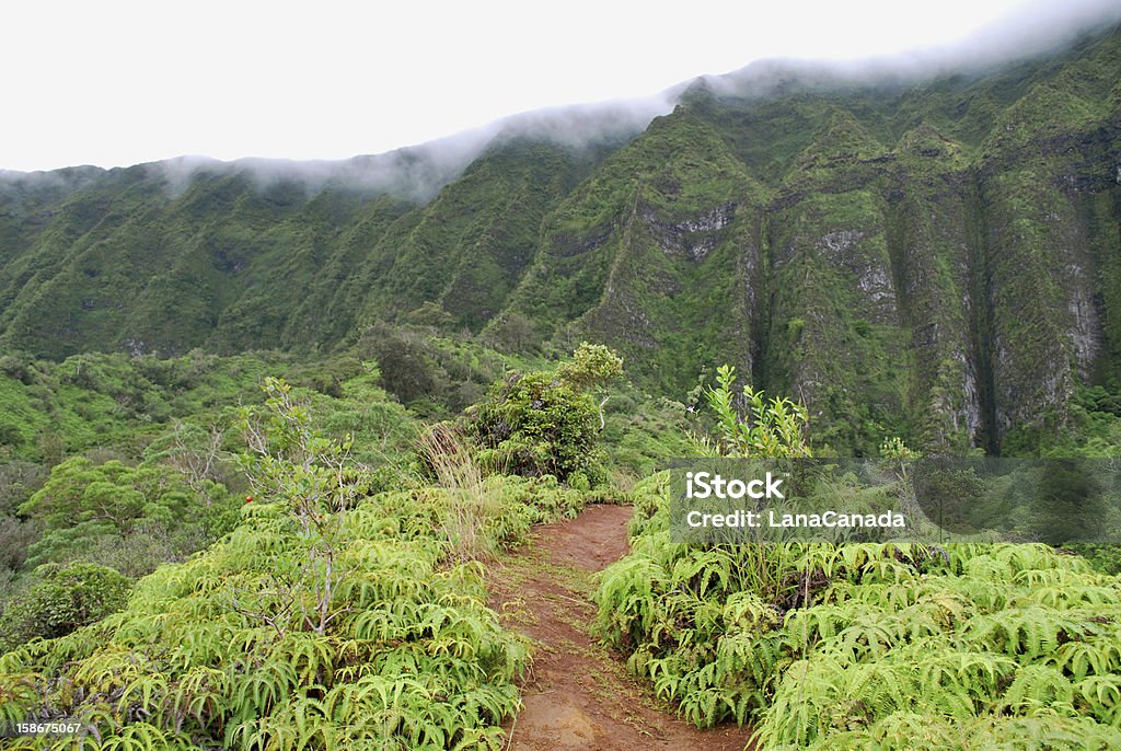 Cloudy Koolau Mountains in Oahu Spectacular hiking trail in Oahu, Hawaii goes via lush rainforest in Koolau Mountain Range. Dirt Road Stock Photo