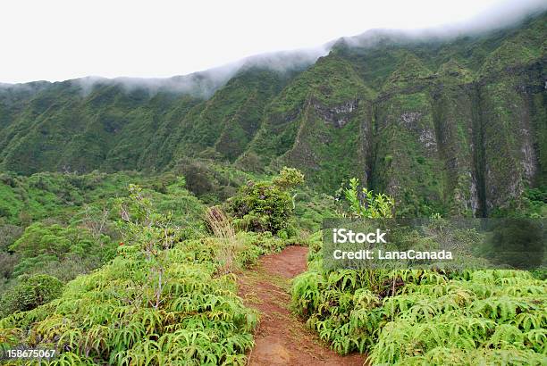 Cloudy Koolau Mountains In Oahu Stock Photo - Download Image Now - Dirt Road, Footpath, Forest