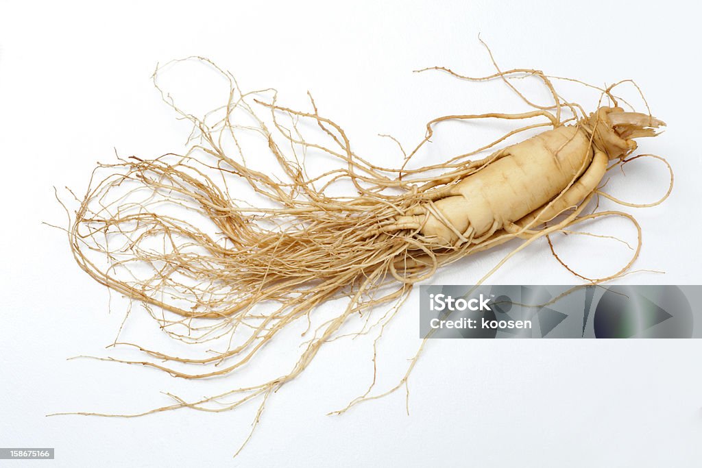 Ginseng Racine - Photo de Ginseng libre de droits