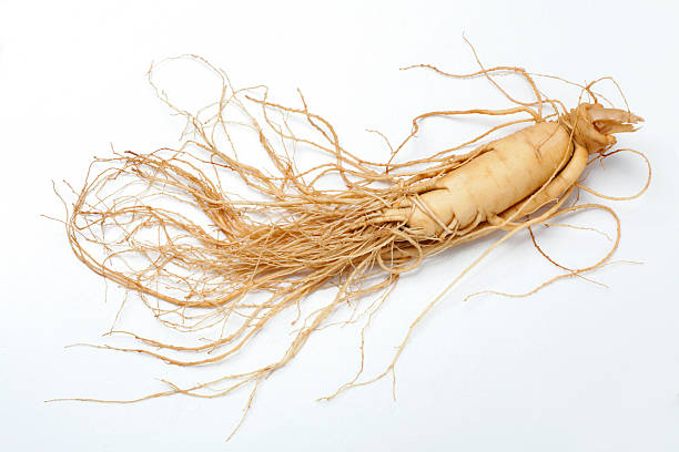 ginseng racine - couleur fauve photos et images de collection