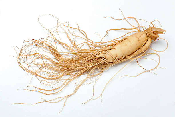 Full ginseng plant root lying on white background A ginseng on a white background tawny stock pictures, royalty-free photos & images