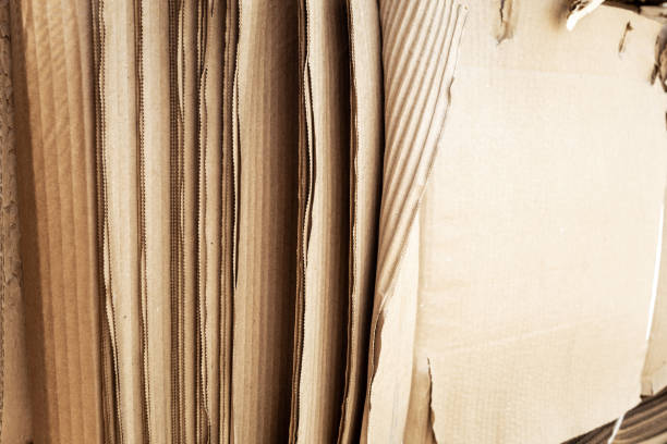 istock Paper waste in a recycling factory 1586788879