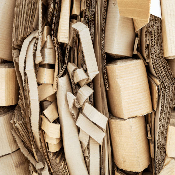 istock Paper waste in a recycling factory 1586789602