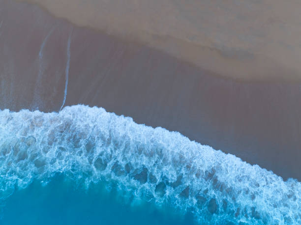 istock Beach Wave water in the Tropical summer beach with  sandy beach background 1586801991