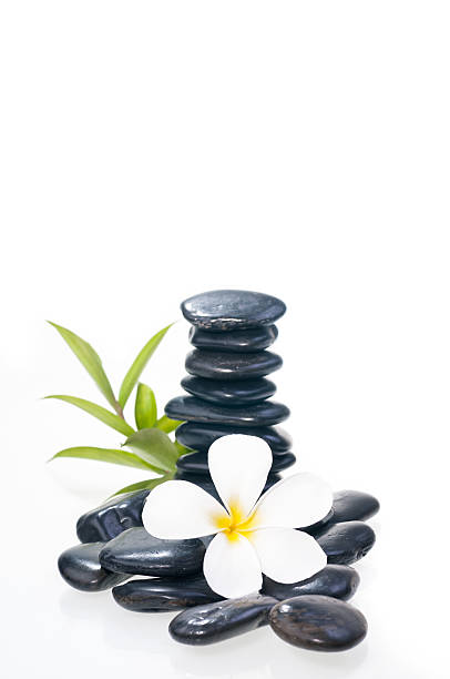 istock Stack of black zen stones with white plumeria flower 158681343