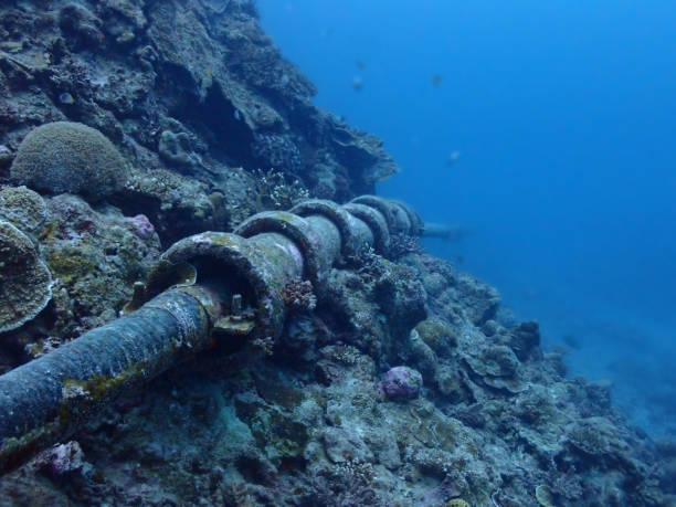 石垣島の海底にある長いパイプライン