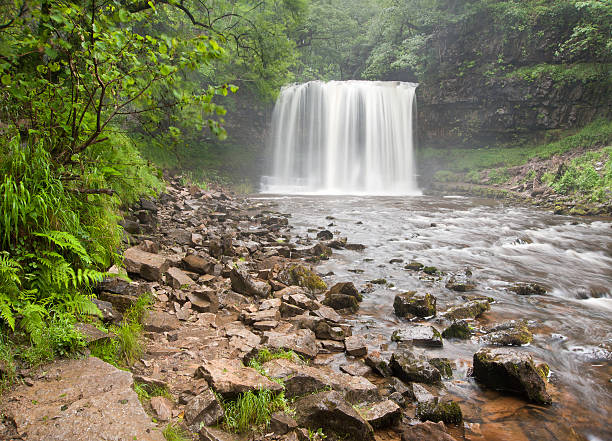 istock Beautiful woodland stream and waterfall in Summer 158682576
