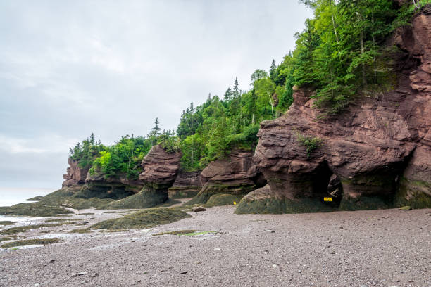 펀 디만 - bay of fundy 뉴스 사진 이미지