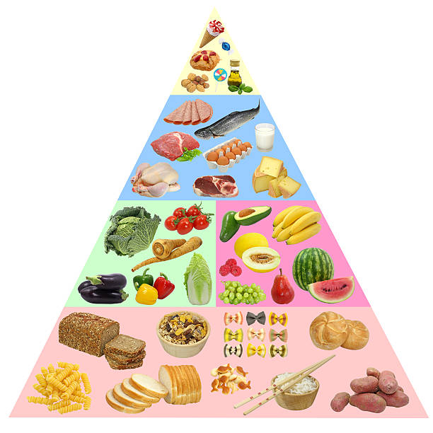 https://media.istockphoto.com/id/158687688/photo/food-pyramid.jpg?s=612x612&w=0&k=20&c=LeSWfjOZ2bGq_PPIb1kMopoVIQoif7nFkMwFlxtBpUo=