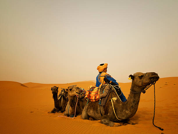istock Bedouin and  camels 158688254