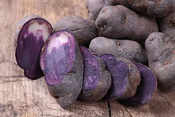 Vitelotte  blue-violet potato