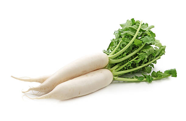 Daikon radishes isolated on white background Daikon radishes isolated on white background dikon radish stock pictures, royalty-free photos & images