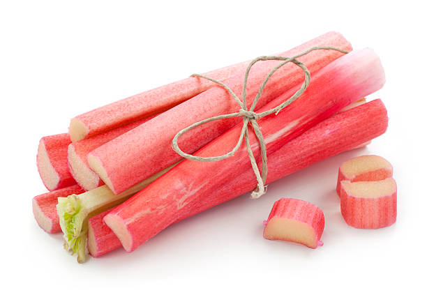 Rhubarb Bunch of fresh rhubarb isolated on white background rhubarb stock pictures, royalty-free photos & images