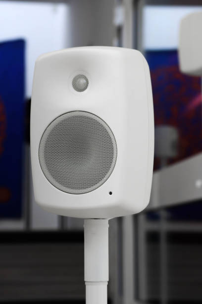 istock White sound speaker on a leg, close-up 1586905648