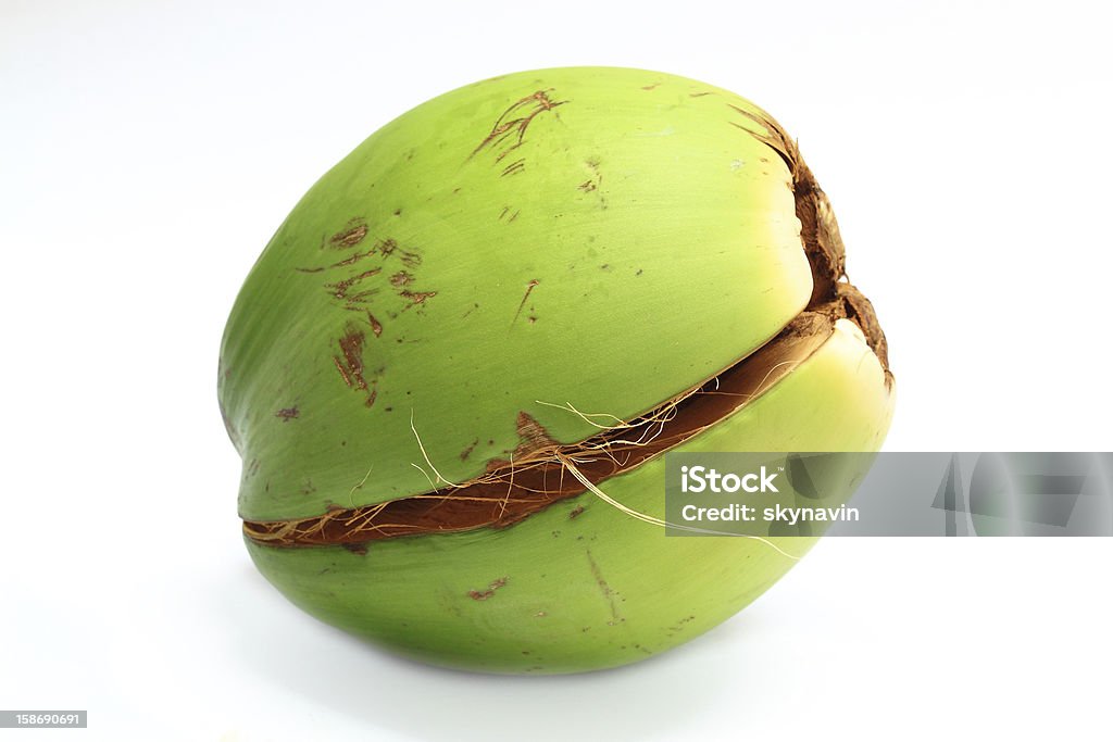 COCCO essere praticati - Foto stock royalty-free di Albero