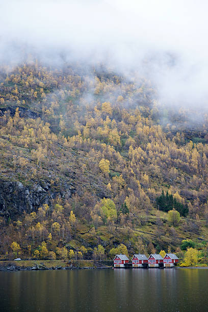 Häuser in fjord, Norwegen – Foto