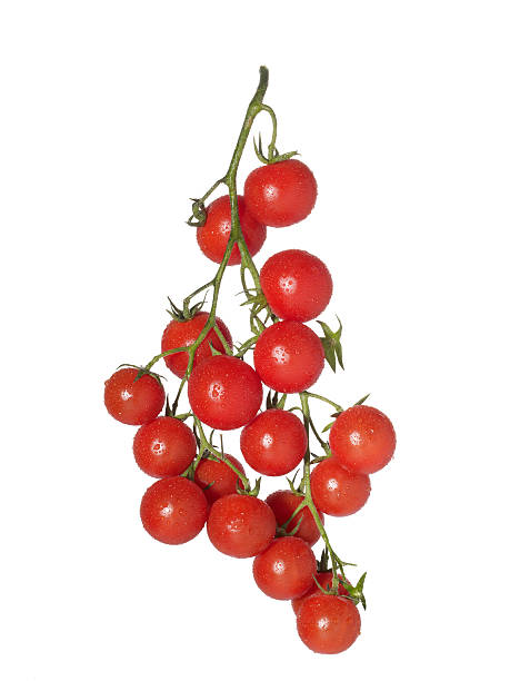 tomate tipo uva - tomate cereza fotografías e imágenes de stock