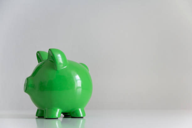 istock green piggy bank 1586911847