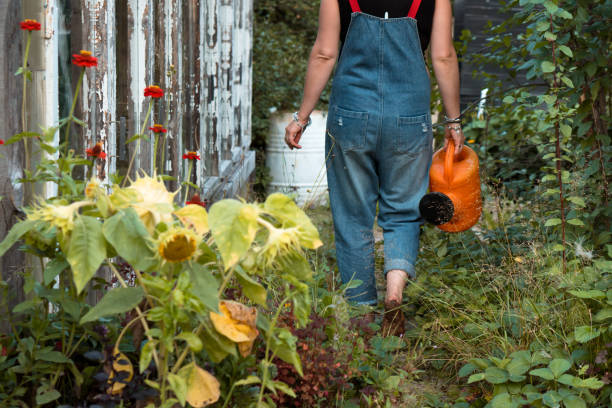 istock faceless woman working in garden 1586933589