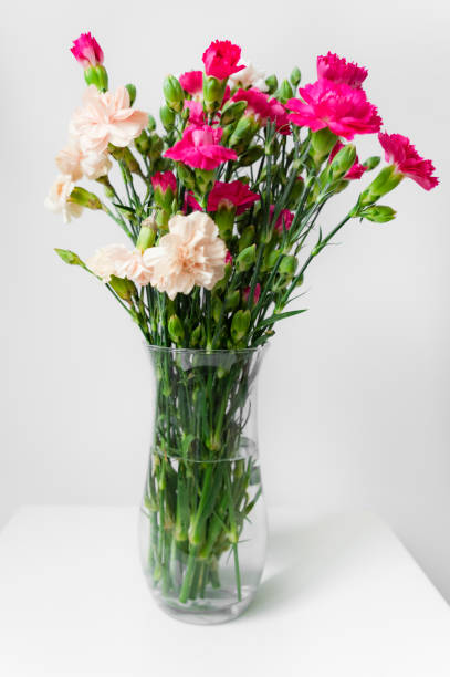 istock Pink carnation flower in vase 1586935703