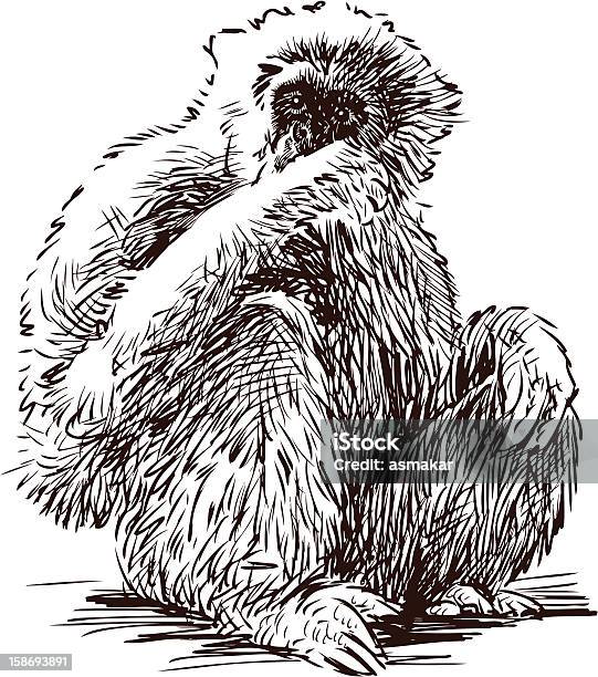 Gibbone - Immagini vettoriali stock e altre immagini di Gibbone - Gibbone, Animale, Animale selvatico