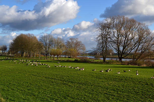 istock Floodplain in Hevea village. 158695142