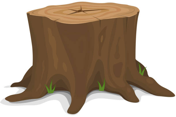 Tree Stump Vector illustration of a cartoon big tree stump with roots and some vlades of grass. Vector eps and high resolution jpeg files included tree stump stock illustrations
