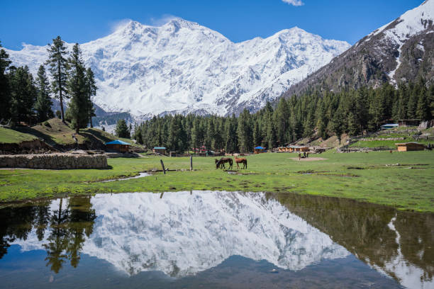 istock Pakistan, Fairy Meadow 1586962183