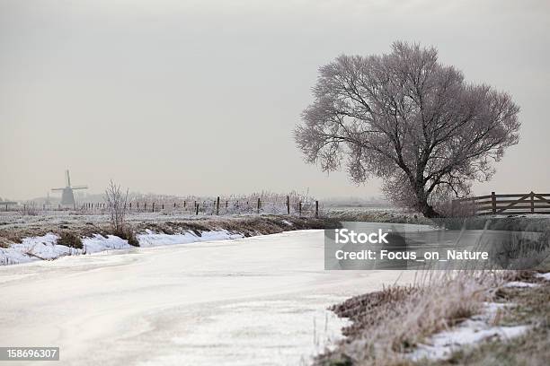 Holenderski Polder W Zimowy Krajobraz - zdjęcia stockowe i więcej obrazów Alkmaar - Alkmaar, Bez ludzi, Chłodny