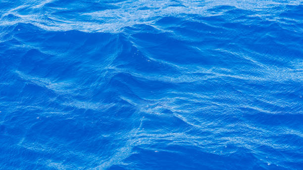 istock Small waves rippling on the surface of the ocean 1586975187
