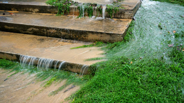 Débordement d’inondation sur les marches et le jardin, inondation après pluie - Photo