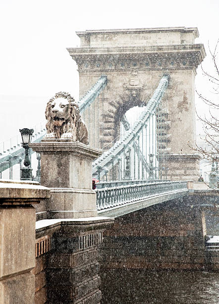 цепной мост сечени - chain bridge budapest bridge lion стоковые фото и изображения