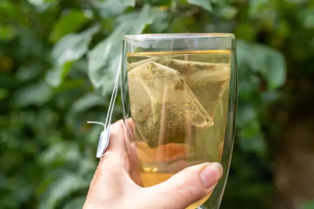 Tea in tea bags are brewing in a glass holding by womans hand on nature background. Closeup front view