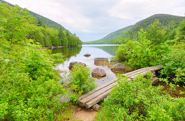 istock wooden bridge over a lake 158706403