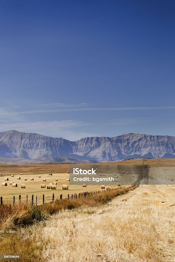 Vista de las praderas - Foto de stock de Alberta libre de derechos