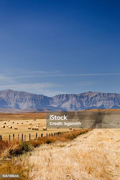 Vista De Las Praderas Foto de stock y más banco de imágenes de Alberta - Alberta, Canadá, Escena rural