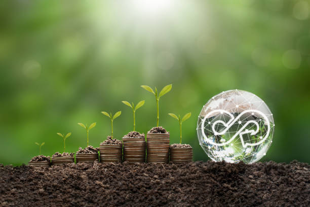 istock The crystal globe with network connection and stack of silver coins the seedlings are growing on top.Concept of Green business, finance sustainability investment, Circular economy and Carbon credit. 1587108691
