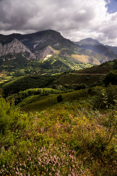 Landscape in Parque Natural de Redes, Asturias, Spain