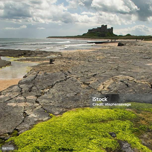 Photo libre de droit de Château De Bamburgh En Format Carré banque d'images et plus d'images libres de droit de Bamburgh - Bamburgh, Carré - Composition, Château