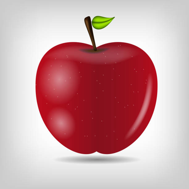 달콤함 맛있는 사과나무 벡터 일러스트레이션 - individuality standing out from the crowd apple contrasts stock illustrations