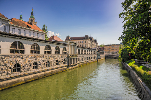 Ljubljanica river and Market in Ljubljana Centre with a view of Ljubljana Catherdral in the background seen from the Dragon bridge.