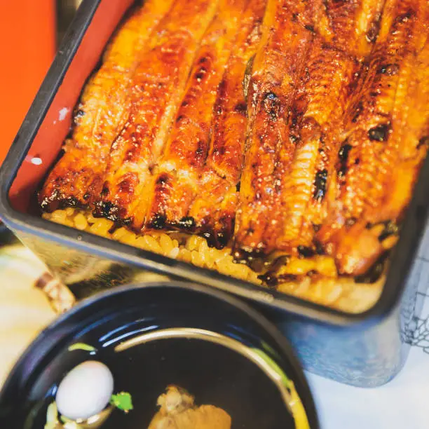 Japanese grilled eel (Unagi) with rice in restaurant, Tokyo, Japan