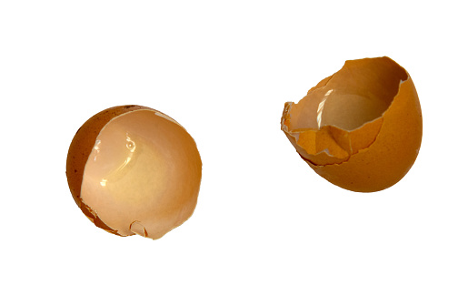 brown eggshell broken, isolated on white background