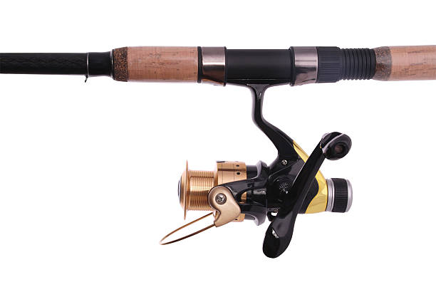 istock fishing rod, reel (Clipping path) 158714983