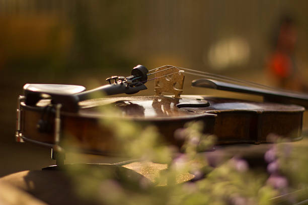 istock Violin in the sun. 158715370