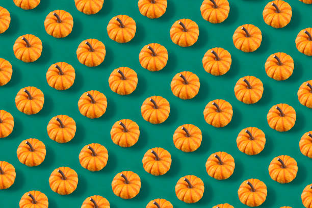 istock Pumpkins on Green Colored Background 1587154350