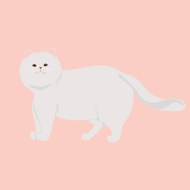 istock Hand-drawn vector illustration of a super cute white cat standing pop-style design. 1587162456
