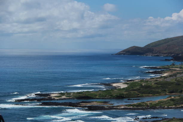 istock Beach of Hawaii 1587166116
