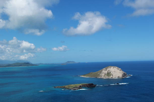 istock Beach of Hawaii 1587166129